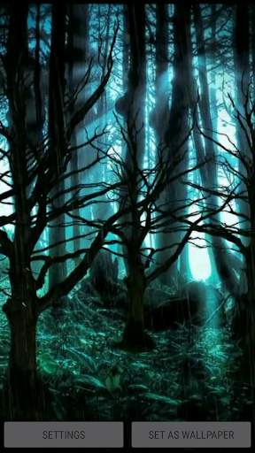 Dark Forest 3D Video Wallpaper скриншот 4