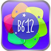 Selfie Prisma for B612 Filter 1.0.0
