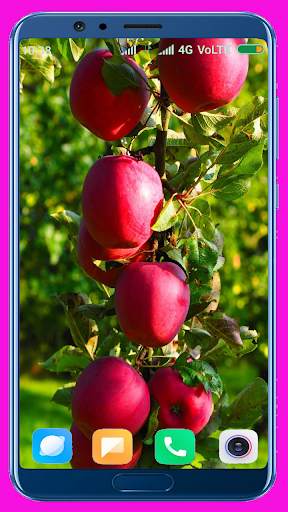 Apple Fruit Wallpaper Best 4K screenshot 3