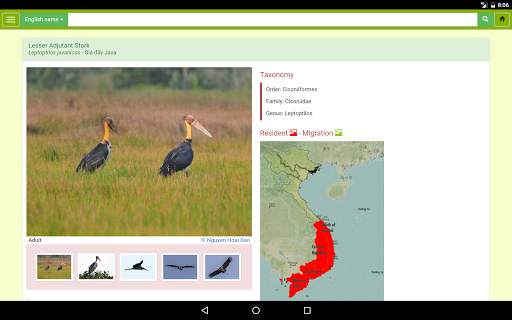 Vietnam Birds स्क्रीनशॉट 7