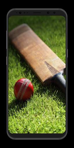 Cricket Wallpapers HD screenshot 3