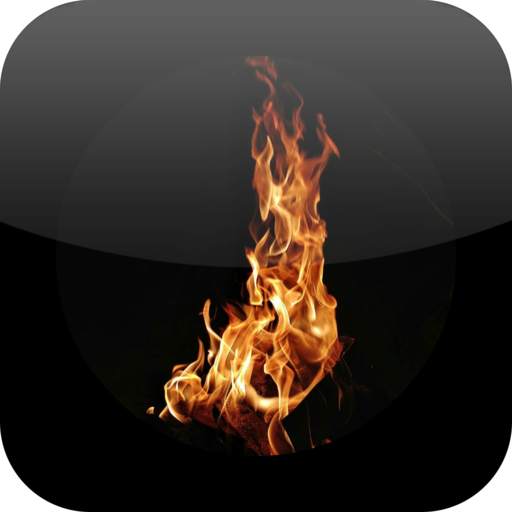 Daily Roast 1.0.41