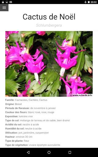 Au Cactus screenshot 8