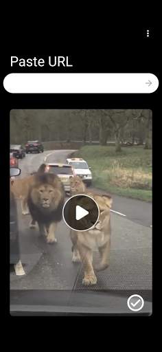 Downloader for Likee screenshot 3
