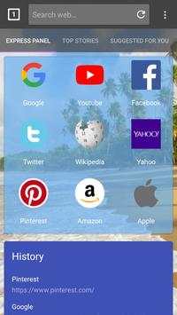 Open Browser screenshot 5