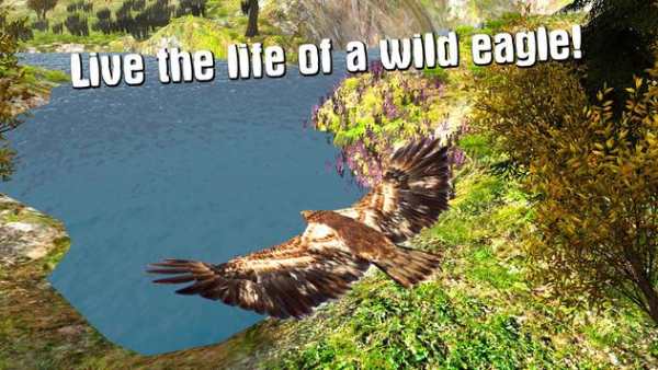 Eagle Bird Survival Sim 3D screenshot 1