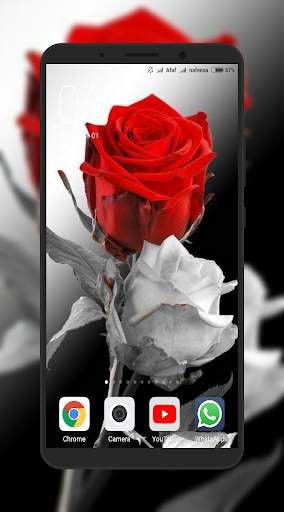 Rose Wallpaper screenshot 6
