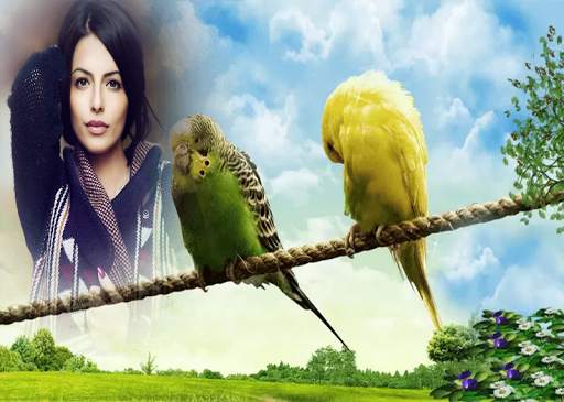 Birds Photo Frames स्क्रीनशॉट 4