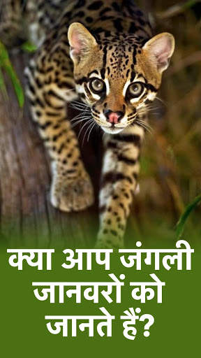 पशु - सभी पशु और पक्षी! चिड़ियाघर! जूलॉजी टेस्ट! स्क्रीनशॉट 1