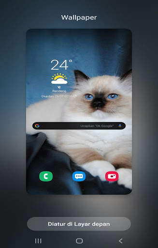 Kucing anggora wallpaper screenshot 7