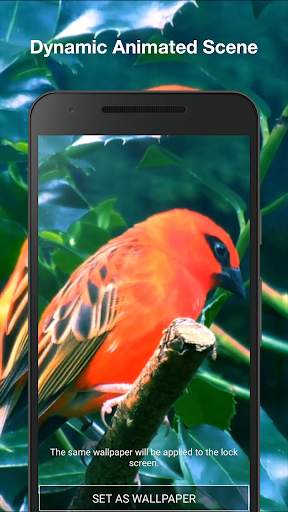 Birds Live Wallpaper PRO screenshot 2