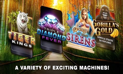 Slots Tiger King Casino Slots screenshot 3