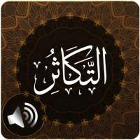 Surah Takathur Audio on 9Apps