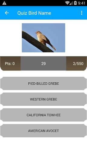 Bird Name And Sound screenshot 8