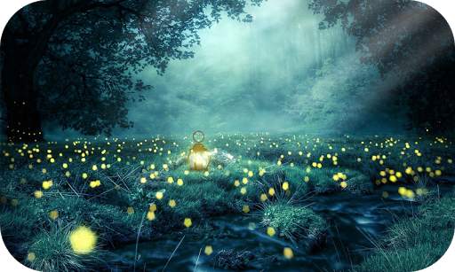 Nature Wallpaper screenshot 6