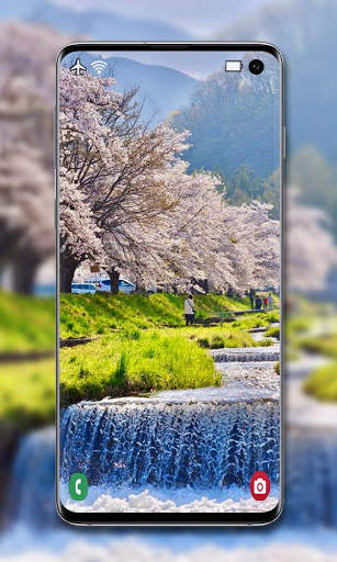 Cherry Blossom Wallpaper screenshot 4
