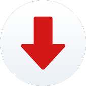 Video Downloader Master logo