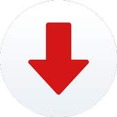 Video Downloader Master 1.0