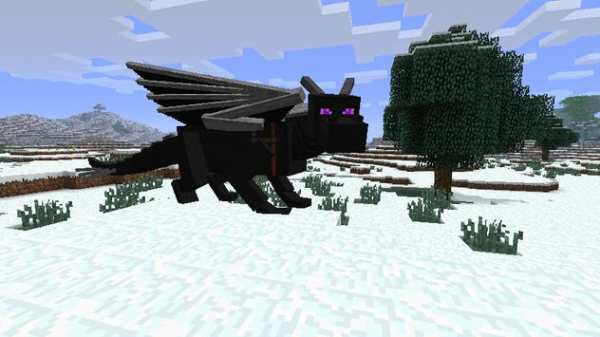 Dragon Mod Minecraft PE screenshot 2