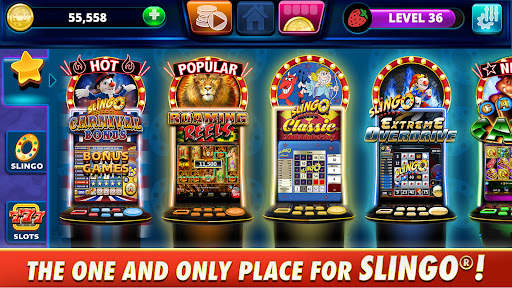 Slingo Arcade - Slots & Bingo screenshot 1