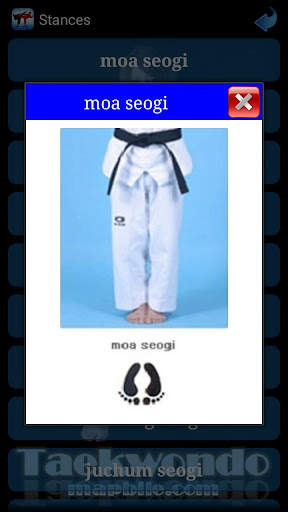 Taekwondo ITF screenshot 6