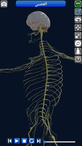 Anatomy 3D screenshot 10