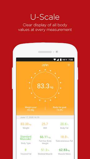 U-Scale screenshot 2