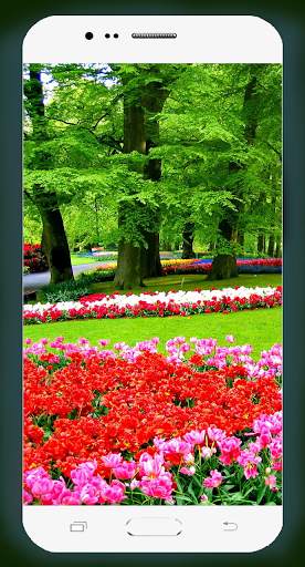 Garden Wallpaper HD screenshot 13