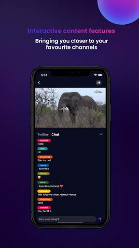 BOLT  screenshot 5