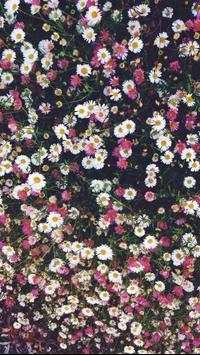 Wallpapers Iphone Lock Screen screenshot 20