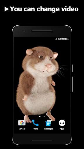Hamster Video Live Wallpaper screenshot 2