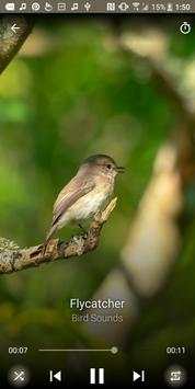 Bird Sounds screenshot 6