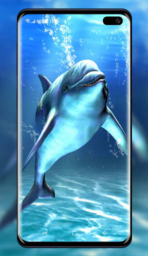 Dolphins Wallpaper screenshot 6