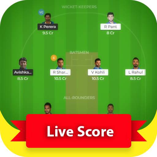 CricTeam - Live Cricket Score 1.1