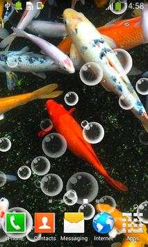 Koi Fish Live Wallpapers screenshot 3