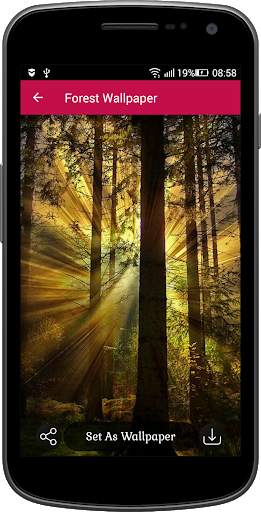 Forest Wallpaper screenshot 3
