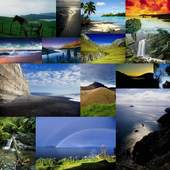 My Album 2.1