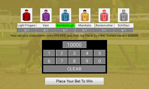 Flat Race Horse Racing screenshot 4