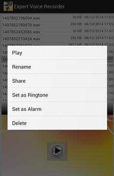 Expert Voice Recorder screenshot 3