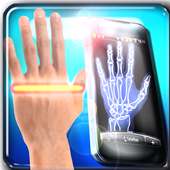 My Body Scanner