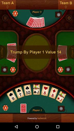 28 Card Game (Twenty Eight) screenshot 3