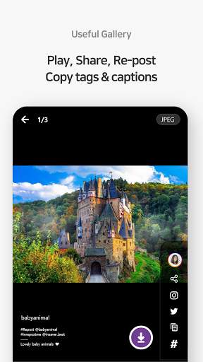 Downloader for Instagram and Twitter : SnapDown screenshot 5