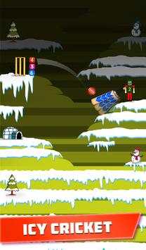 Mr. Bat: The Cricket Game screenshot 4