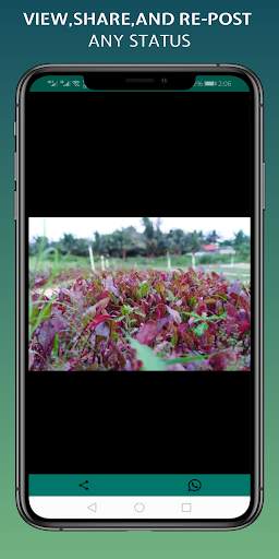 Status Saver for WhatsApp Image Video Downloader screenshot 12