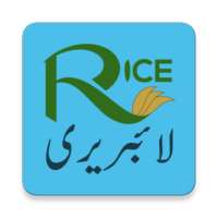Rice Library icon