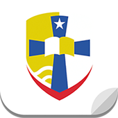 Stema-Link icon