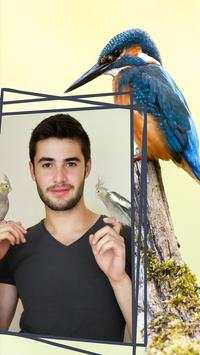 Beautiful Birds Frames screenshot 4