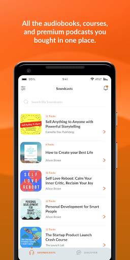 Soundwise Audio screenshot 1