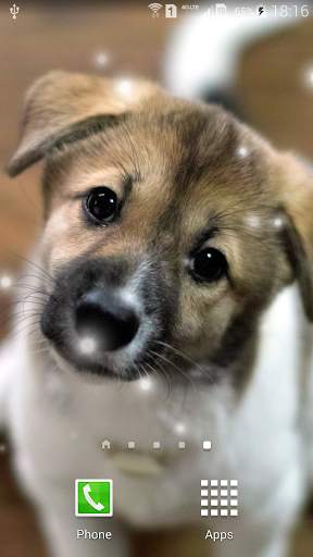 Puppies Live Wallpaper screenshot 7
