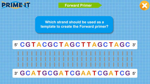 Prime It DNA Game screenshot 4